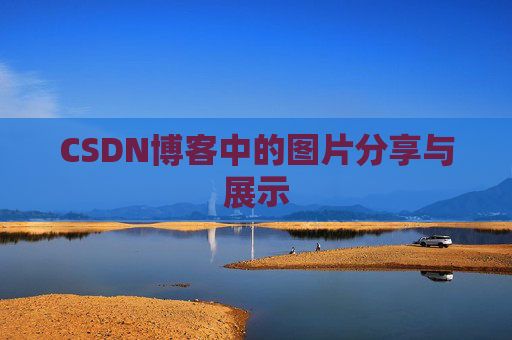 CSDN博客中的图片分享与展示